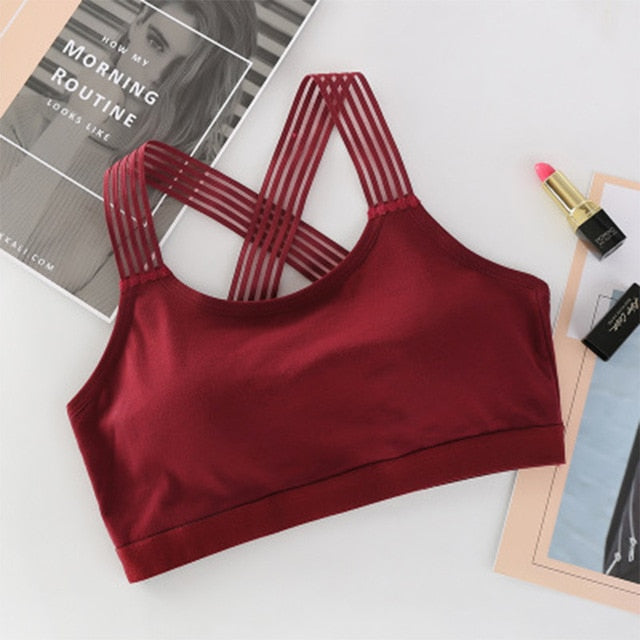 PREMIUM SPORTS BRA